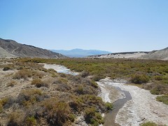 salt creek