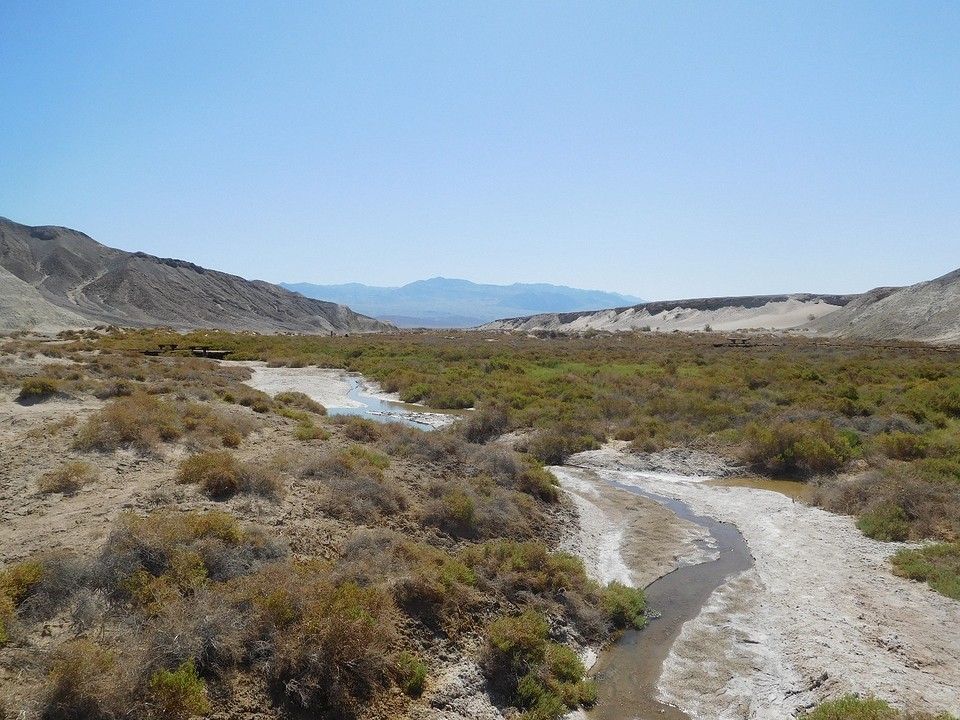salt creek