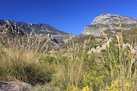 IMG_3097