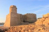 IMG_3264
