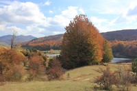 IMG_3298