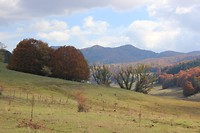 IMG_3309