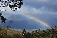 IMG_3445
