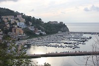 IMG_3349