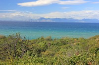 IMG_3406