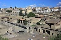 IMG_3462