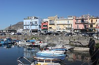 IMG_3492