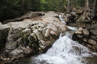 IMG_5329