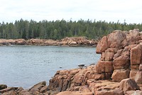 IMG_5470