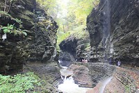 IMG_6021