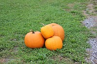 IMG_6001