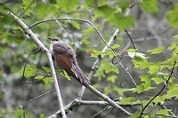 IMG_5826