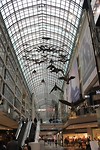 IMG_6275