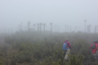 IMG_7527