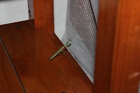 IMG_7560