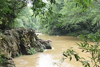 IMG_7602