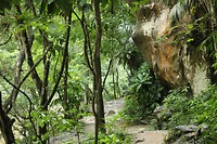 IMG_7641