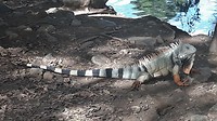 20191206_142806