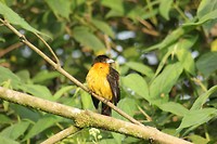 IMG_7945