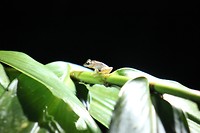 IMG_7979