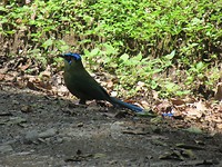 IMG_0694