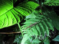 IMG_0665