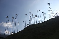 IMG_8110