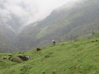 IMG_0759