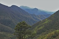 IMG_8141