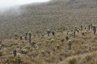 IMG_8173