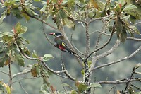 IMG_8189