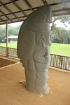 IMG_8221