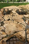 IMG_8288