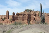 IMG_8424