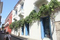 IMG_8491