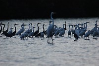 IMG_8663