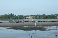 IMG_8549