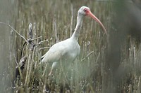 IMG_8568