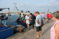 IMG_9625