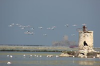 IMG_9652