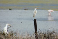 IMG_9670