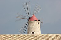 IMG_9675