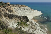 IMG_9748
