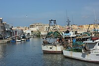 IMG_9704