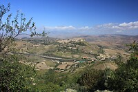 IMG_9818