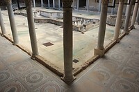 IMG_9846