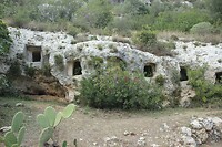 IMG_9910