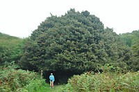IMG_0313