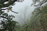 IMG_0323