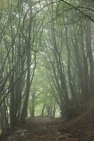 IMG_0327